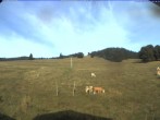 Archiv Foto Webcam Skilift Schwinbach 07:00