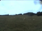Archiv Foto Webcam Skilift Schwinbach 11:00