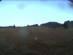 Archived image Webcam Ski lift Schwinbach 05:00