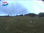 Archiv Foto Webcam Skilift Schwinbach 07:00