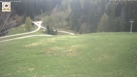 Archiv Foto Webcam St Blasien Menzenschwand Zeller Skihütte 13:00