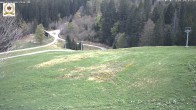 Archiv Foto Webcam St Blasien Menzenschwand Zeller Skihütte 13:00