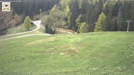 Archiv Foto Webcam St Blasien Menzenschwand Zeller Skihütte 11:00