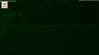 Archiv Foto Webcam St Blasien Menzenschwand Zeller Skihütte 01:00