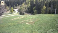 Archiv Foto Webcam St Blasien Menzenschwand Zeller Skihütte 13:00