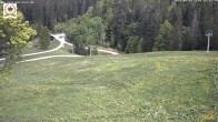 Archiv Foto Webcam St Blasien Menzenschwand Zeller Skihütte 15:00