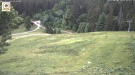 Archiv Foto Webcam St Blasien Menzenschwand Zeller Skihütte 15:00