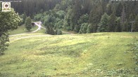 Archiv Foto Webcam St Blasien Menzenschwand Zeller Skihütte 13:00