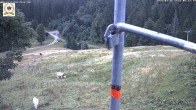 Archiv Foto Webcam St Blasien Menzenschwand Zeller Skihütte 07:00