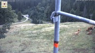 Archiv Foto Webcam St Blasien Menzenschwand Zeller Skihütte 11:00