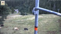 Archiv Foto Webcam St Blasien Menzenschwand Zeller Skihütte 17:00
