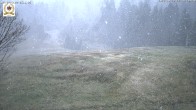 Archived image Webcam St Blasien Menzenschwand Zeller ski lodge 11:00
