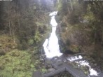 Archived image Webcam Triberg (Black Forest): Waterfalls 09:00