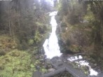 Archived image Webcam Triberg (Black Forest): Waterfalls 09:00