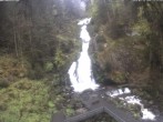 Archiv Foto Webcam Triberg Wasserfälle im Schwarzwald 11:00