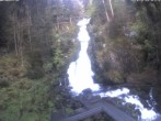 Archived image Webcam Triberg (Black Forest): Waterfalls 05:00