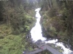 Archiv Foto Webcam Triberg Wasserfälle im Schwarzwald 11:00