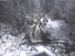 Archived image Webcam Triberg (Black Forest): Waterfalls 15:00