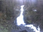 Archived image Webcam Triberg (Black Forest): Waterfalls 07:00