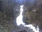 Archived image Webcam Triberg (Black Forest): Waterfalls 09:00