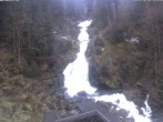 Archived image Webcam Triberg (Black Forest): Waterfalls 15:00