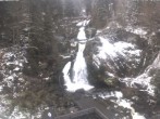 Archived image Webcam Triberg (Black Forest): Waterfalls 09:00