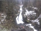 Archived image Webcam Triberg (Black Forest): Waterfalls 13:00