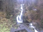 Archived image Webcam Triberg (Black Forest): Waterfalls 06:00