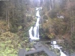 Archived image Webcam Triberg (Black Forest): Waterfalls 07:00