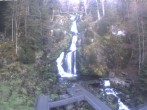 Archiv Foto Webcam Triberg Wasserfälle im Schwarzwald 06:00