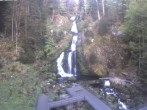 Archived image Webcam Triberg (Black Forest): Waterfalls 05:00