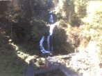 Archiv Foto Webcam Triberg Wasserfälle im Schwarzwald 11:00