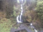 Archiv Foto Webcam Triberg Wasserfälle im Schwarzwald 06:00