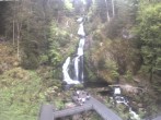 Archiv Foto Webcam Triberg Wasserfälle im Schwarzwald 09:00