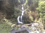 Archiv Foto Webcam Triberg Wasserfälle im Schwarzwald 11:00