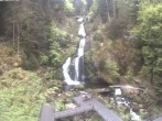 Archiv Foto Webcam Triberg Wasserfälle im Schwarzwald 13:00