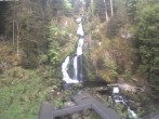 Archiv Foto Webcam Triberg Wasserfälle im Schwarzwald 05:00