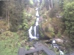 Archiv Foto Webcam Triberg Wasserfälle im Schwarzwald 06:00