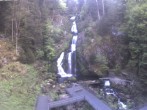 Archiv Foto Webcam Triberg Wasserfälle im Schwarzwald 19:00