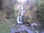 Archiv Foto Webcam Triberg Wasserfälle im Schwarzwald 05:00