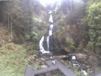 Archived image Webcam Triberg (Black Forest): Waterfalls 13:00