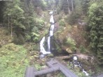 Archiv Foto Webcam Triberg Wasserfälle im Schwarzwald 07:00