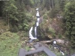 Archiv Foto Webcam Triberg Wasserfälle im Schwarzwald 13:00