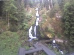 Archived image Webcam Triberg (Black Forest): Waterfalls 05:00