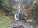Archived image Webcam Triberg (Black Forest): Waterfalls 09:00