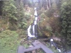 Archived image Webcam Triberg (Black Forest): Waterfalls 05:00