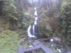 Archived image Webcam Triberg (Black Forest): Waterfalls 06:00