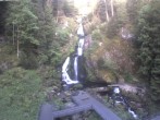 Archived image Webcam Triberg (Black Forest): Waterfalls 05:00