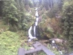 Archiv Foto Webcam Triberg Wasserfälle im Schwarzwald 06:00