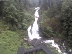 Archived image Webcam Triberg (Black Forest): Waterfalls 15:00